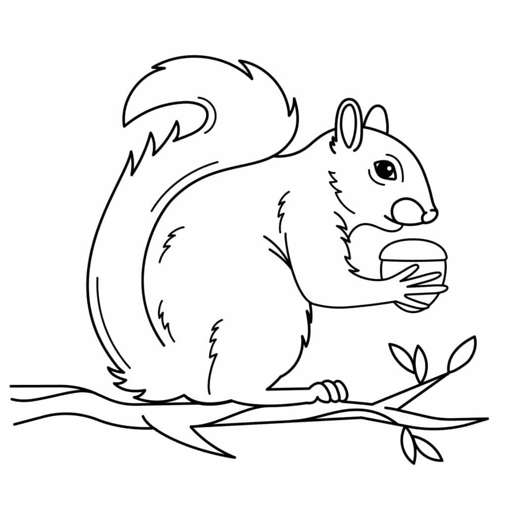 A cute little squirrel holding an acorn in its tiny paws, sitting on a tree branch.