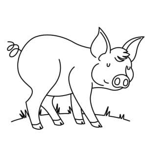 detailed drawing of a pig standing in a grassy field, showcasing its round body, short legs, and snout. The pig is depicted in a cartoonish style, with expressive eyes and a friendly demeanor.