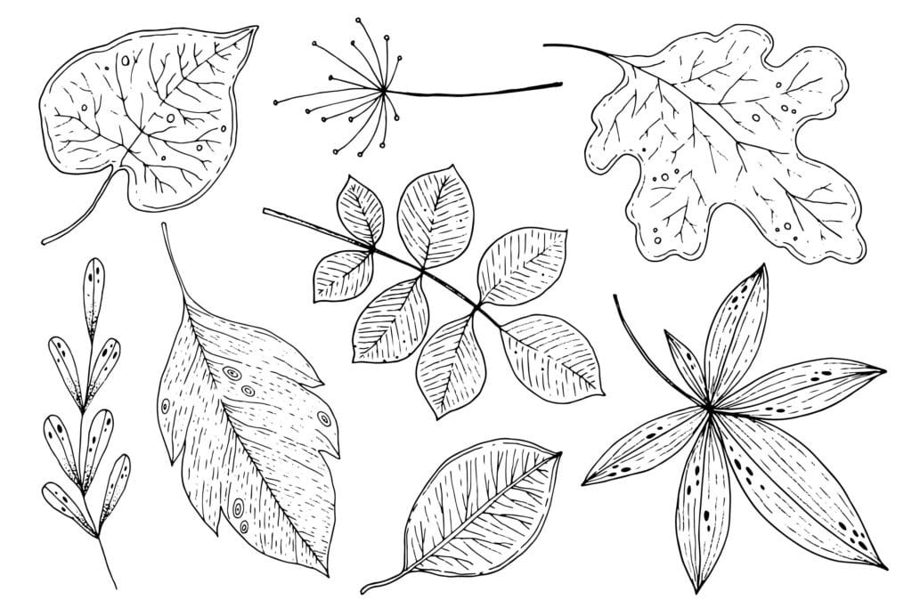 A color by number activity featuring fall leaves.