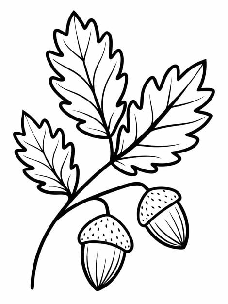 A color by number activity featuring acorns.