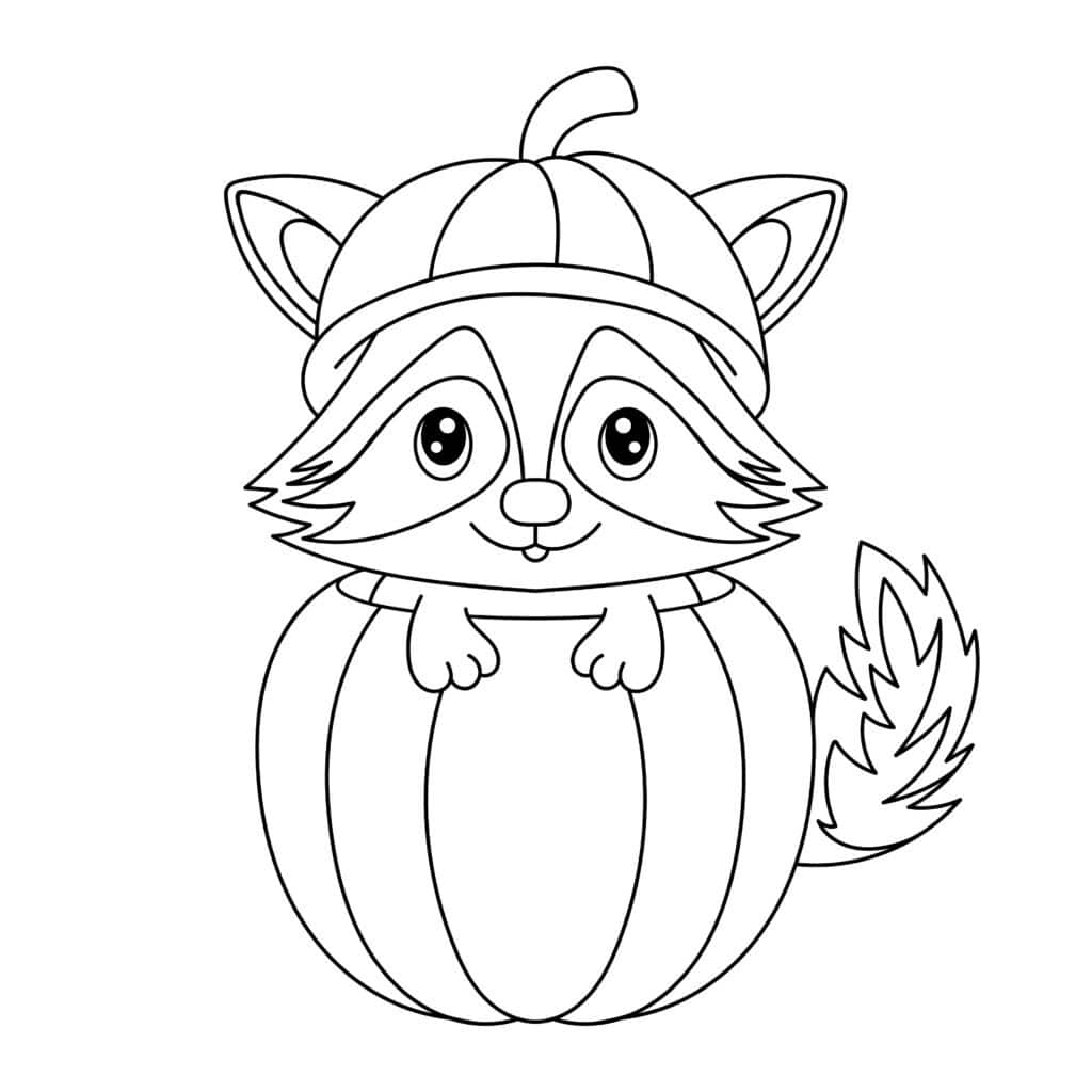 74543121 raccoon in a pumpkin