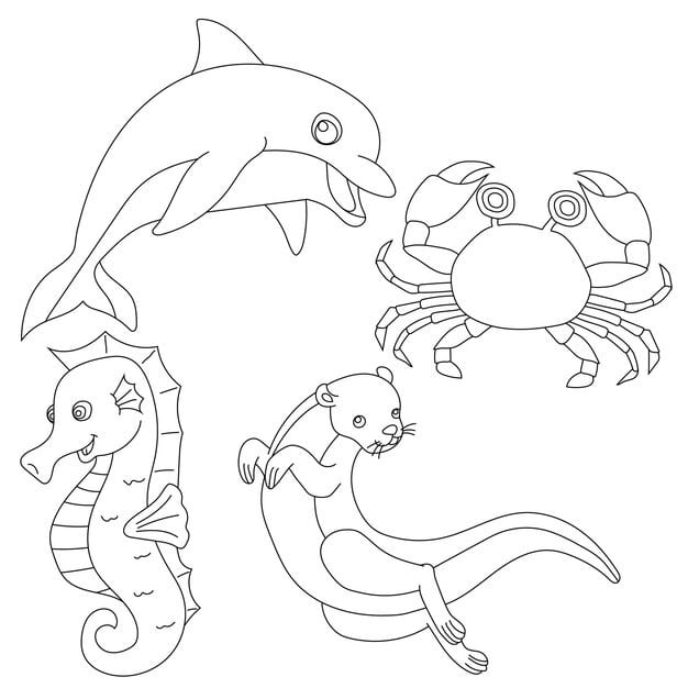 aquatic animals clipart set sea life ocean creatures 940253 1533