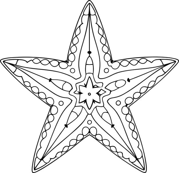 beautiful starfish adult coloring page stress relieving mandala animal designs 628924 4116