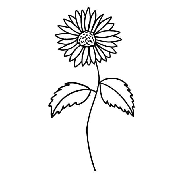 black white flower outline doodle style 589590 498