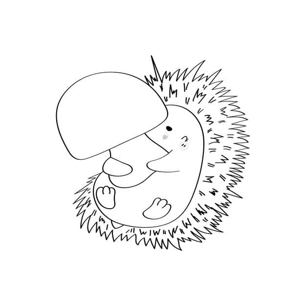 black white hedgehog clipart cute cartoon style beautiful clip art coloring page hedgehog 289115 510