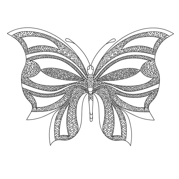 butterfly coloring page adults antistress zentangle style 654538 369