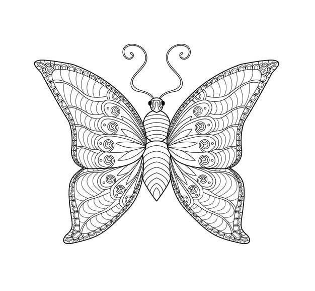 butterfly coloring page black white line art coloring book adults 539296 249