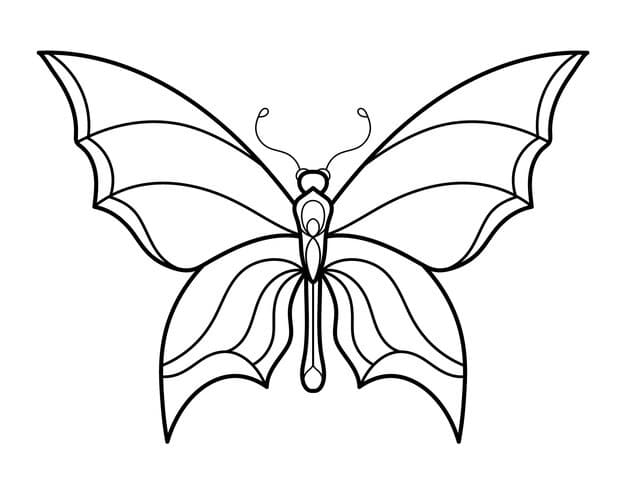 butterfly outline drawing kids 565656 949