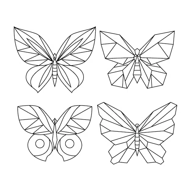 Butterfly drawing 