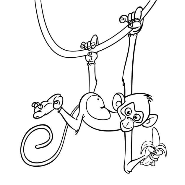 cartoon funny monkey vector illustration happy monkey chimpanzee outlines coloring pages book 6996 3055