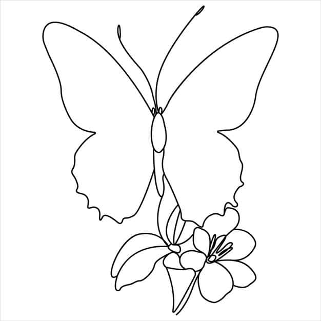 continuous butterfly single line drawing vector style illustration 1090236 1115