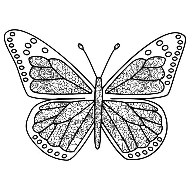 creative zentangle style butterfly with ethnic floral ornaments coloring page 947788 132