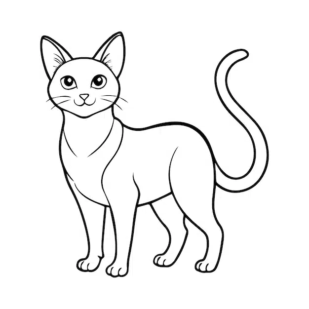 cute cat outline illustration white background 1190923 50