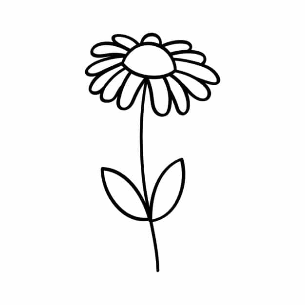 daisy hand drawn outline 78370 6390