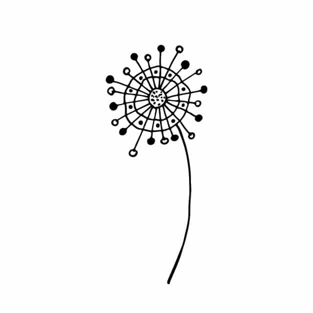 doodle sketch dandelion seeds silhouette dandelion with flying seeds black contour 258431 252