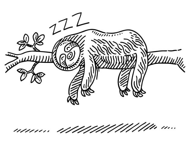 drawing dinosaur sleeping branch with leaf it 1209112 633