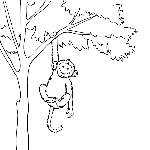 drawing monkey hanging from tree with white background 1055519 1373