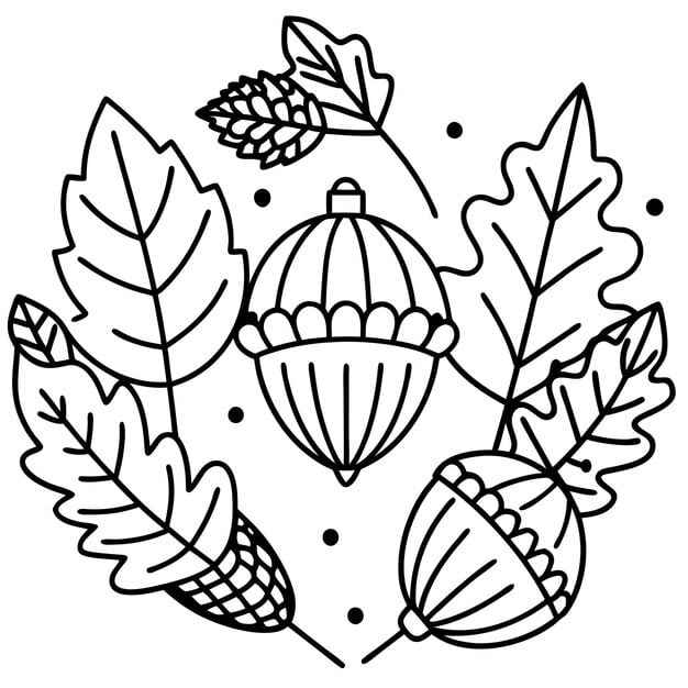 emblem doodle depicts leaves fruits oak tree acorns contour image 579306 2120