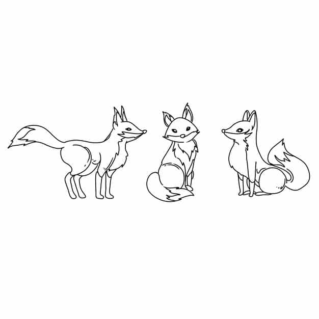 fox animal isolated wild illustration vector nature hand drawn doodle illustrations vector set 819052 948