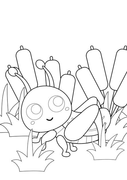 grasshopper coloring page kids adult 616819 518