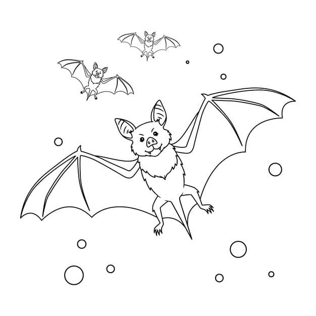 hand drawn bat outline 23 2149268002