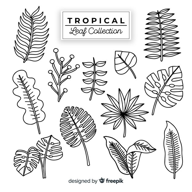 hand drawn collection tropical leaves 23 2147895627