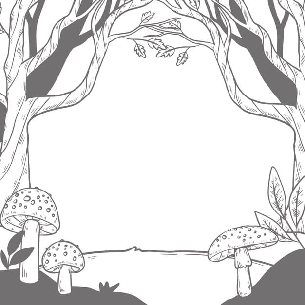 hand drawn enchanted forest illustration 23 2149364951