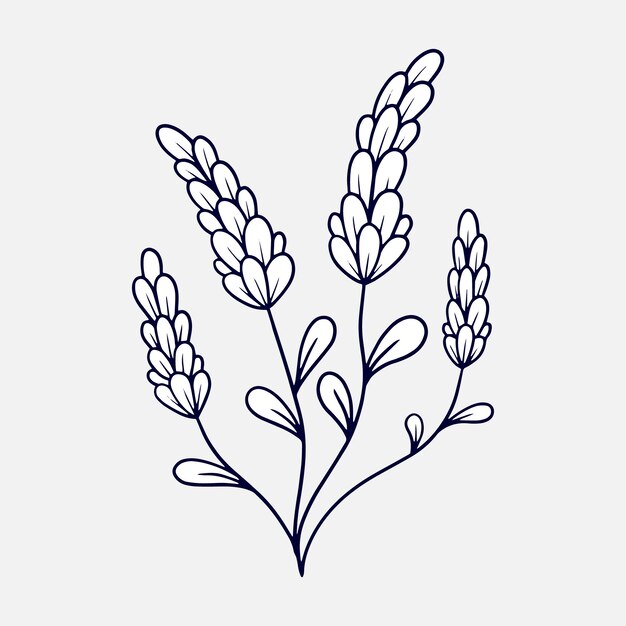 hand drawn flat design simple flower outline 23 2149379727