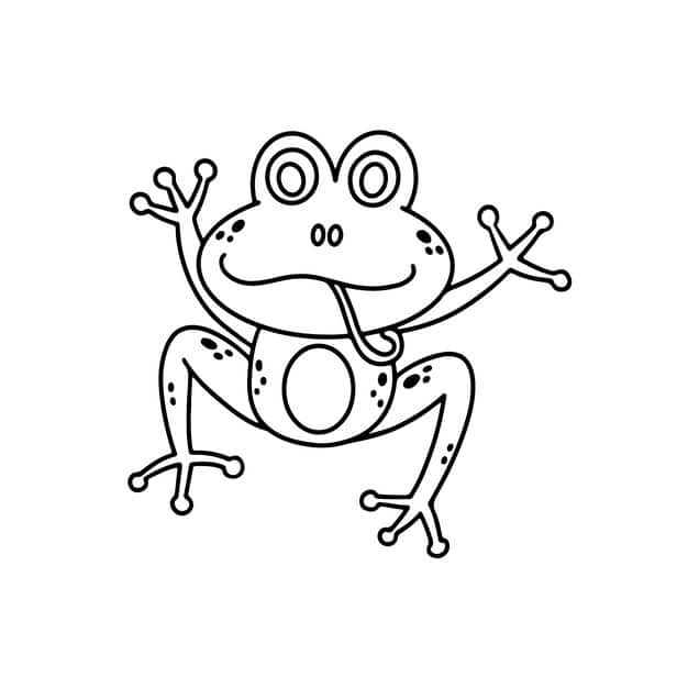 hand drawn frog outline illustration 23 2149278660