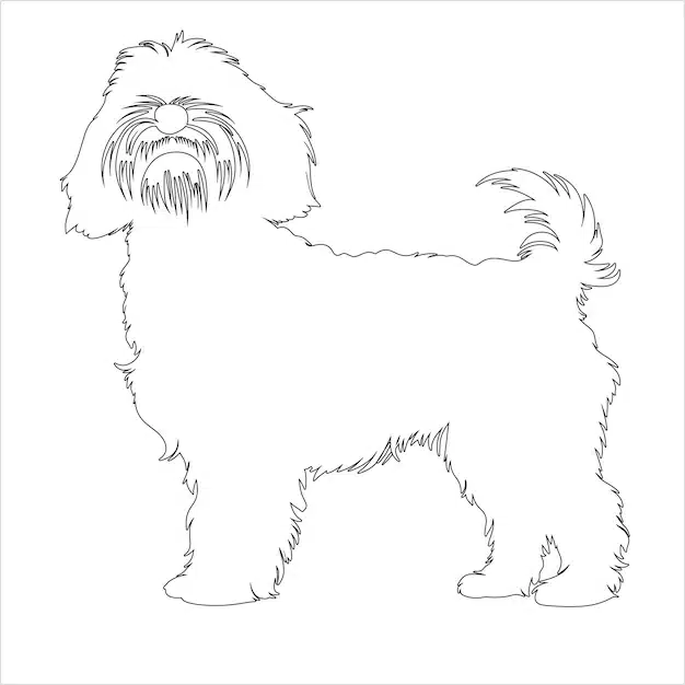 hand drawn havanese dog outline illustration 729149 122080