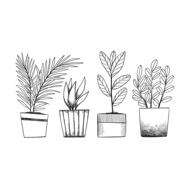 hand drawn houseplant collection 23 2148911678