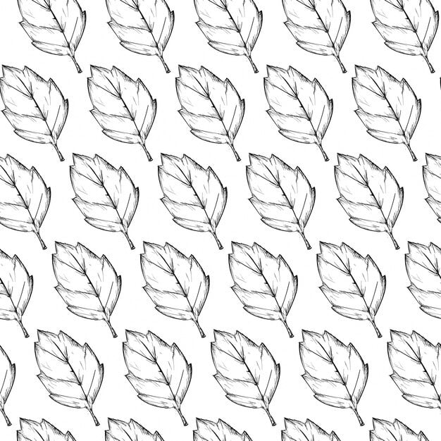 hand drawn leaves pattern background 1379 571