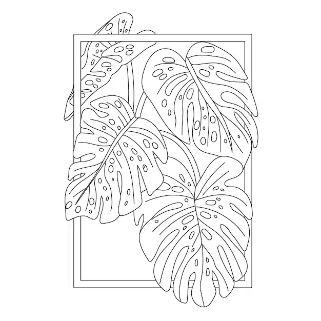 hand drawn monstera leaf outline illustration 23 2150506531