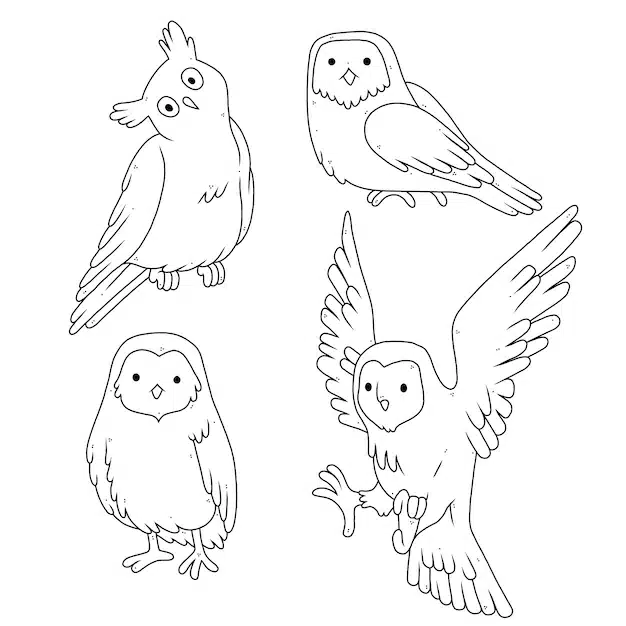 hand drawn owl outline illustration 23 2149280054