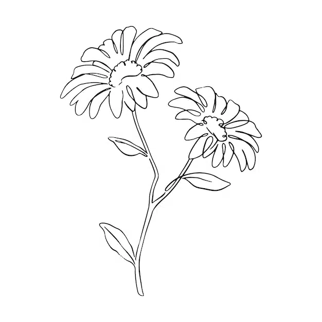 hand drawn simple flower outline illustration 23 2149360348