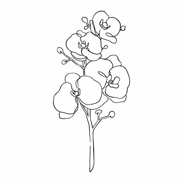 hand drawn simple flower outline illustration 23 2149360349 1