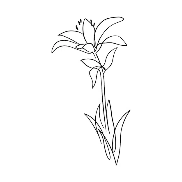 hand drawn simple flower outline illustration 23 2149360350