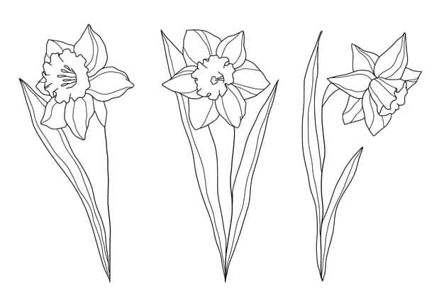 hand drawn simple flower outline illustration 23 2149364029