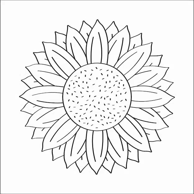 hand drawn sunflower 78370 173