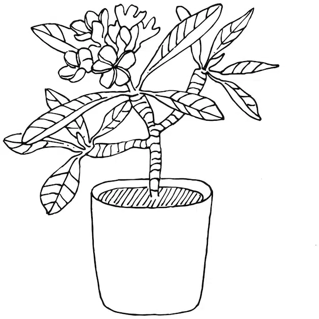 home plant pots sketch outline drawing isolated illustration growing flowers hanging plant interior home office decoration vector garden flowers 142075 3356