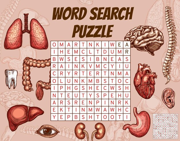 human organs body parts word search puzzle game 8071 13566