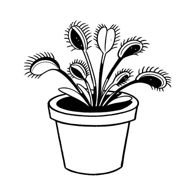 illustration houseplant pot 1283348 101917