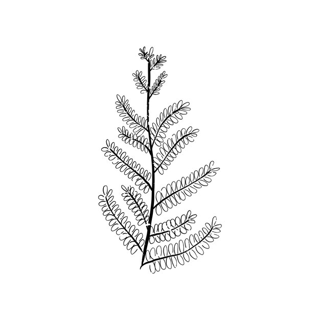 illustration plant 53876 3596