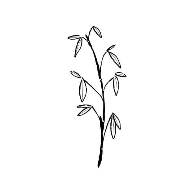 illustration plant 53876 3607