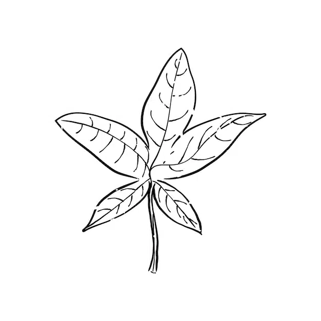 illustration plant 53876 3780