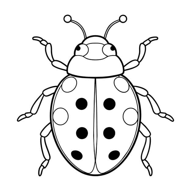 ladybug illustration coloring page kids 756535 7082