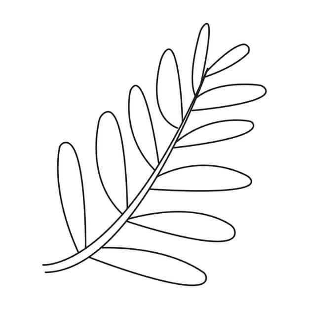 leaf vector shown white background 750364 1273