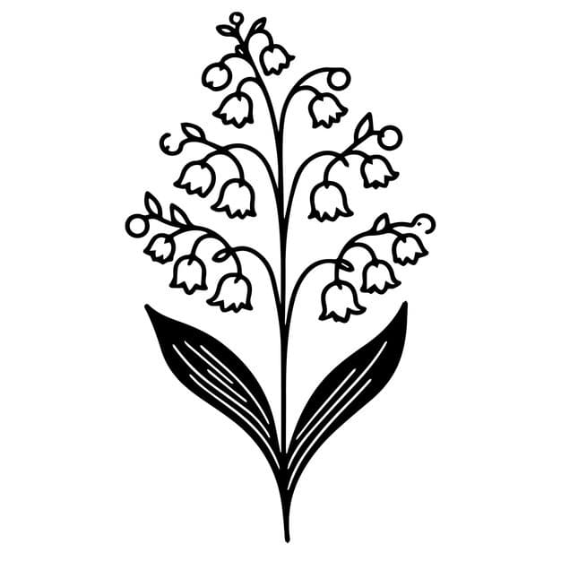 line drawing lily valley engraving ink art simple flower coloring pages easy flower drawing 700860 1642