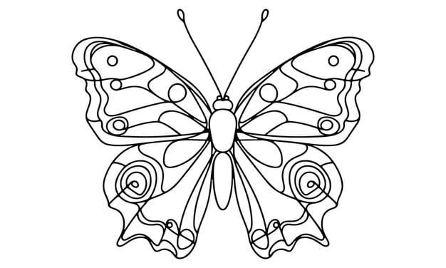 monarch butterfly symbol resilience transformation 620457 2270