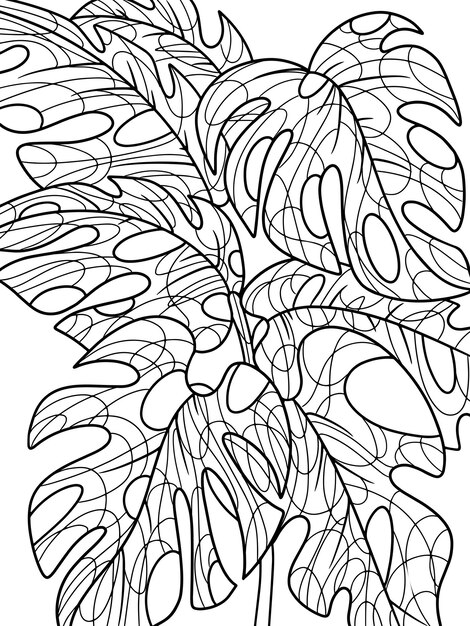 monstera home plant with large leaves page outline cartoon vector illustration coloring book 705966 1755